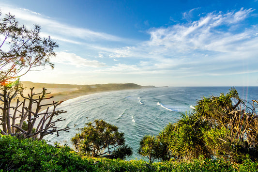 Here are 6 activities to celebrate the arrival of spring!