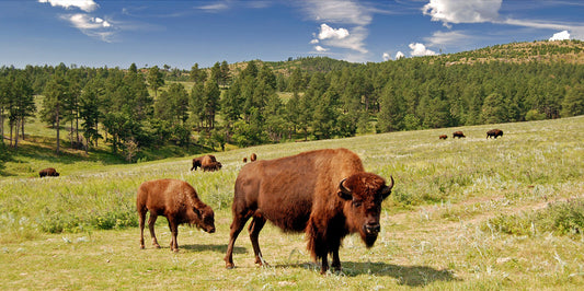 6 Lesser Known State Parks That are Just as Cool as National Parks