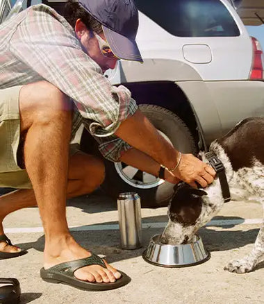 A black and white dog eating from a stainless steel bowl on a sunny outdoor pavement, with a person kneeling beside it holding the dog's collar. The person is wearing OOFOS × Adsum OOriginal Limited Sandals.