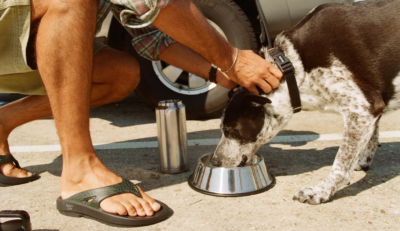 A black and white dog eating from a stainless steel bowl on a sunny outdoor pavement, with a person kneeling beside it holding the dog's collar. The person is wearing OOFOS × Adsum OOriginal Limited Sandals.